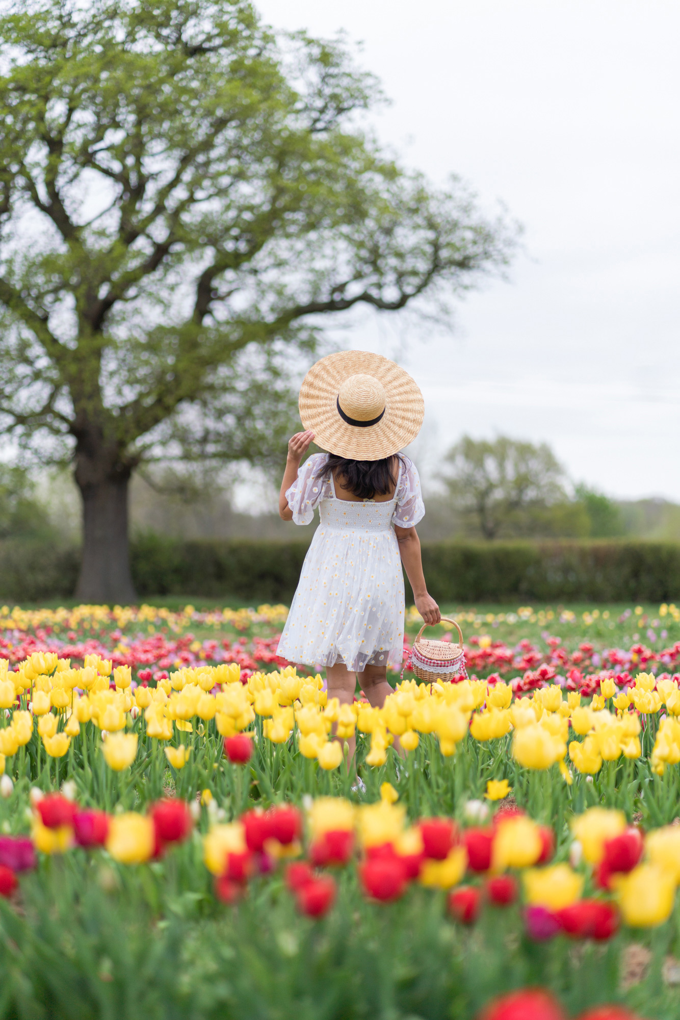 woman_in_tulip_field_London