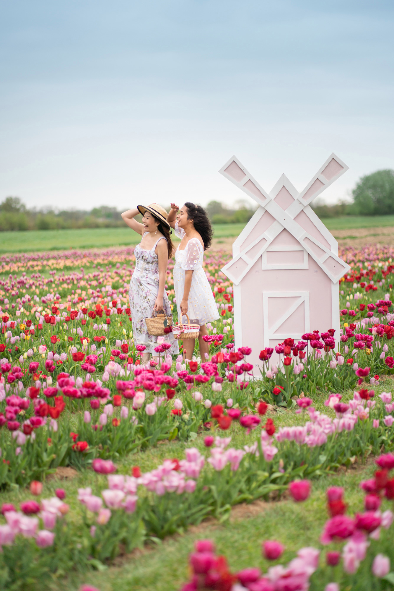 friends_in_tulip_field_London